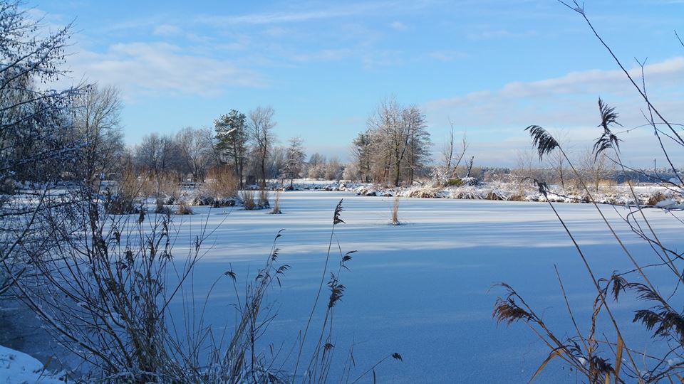 Rybné Hospodárstvo, Pernek