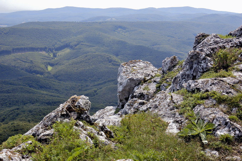 Roštún, Plavecké Podhradie